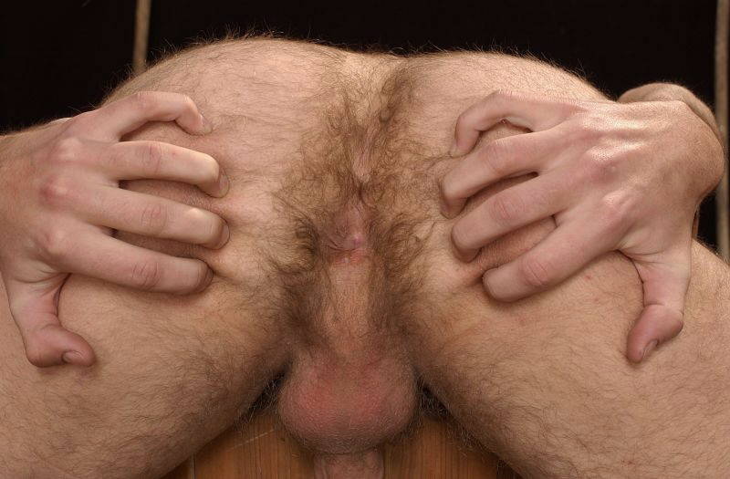 Hairy Men Assholes