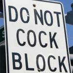 tumblr_lfj0cgBKXP1qb68p2o1_500[1]