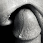 tumblr_lqdmfcs6pG1qk3937o1_1280[1]