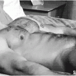 tumblr_lra6yfnmxK1qjzwvbo1_500
