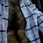 tumblr_ltscnvTGIf1qf0j3io1_500[1]