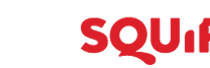 dslogo2
