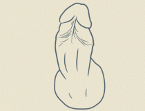 tumblr_m0m16rzPr11rqva19o1_500