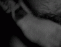 tumblr_mk2yvzydw31ra3xcco1_500