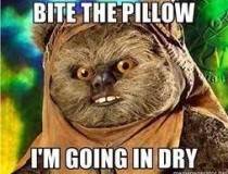 557167_327065910692821_268330443233035_898643_571653480_n