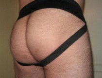 Bear_Cock