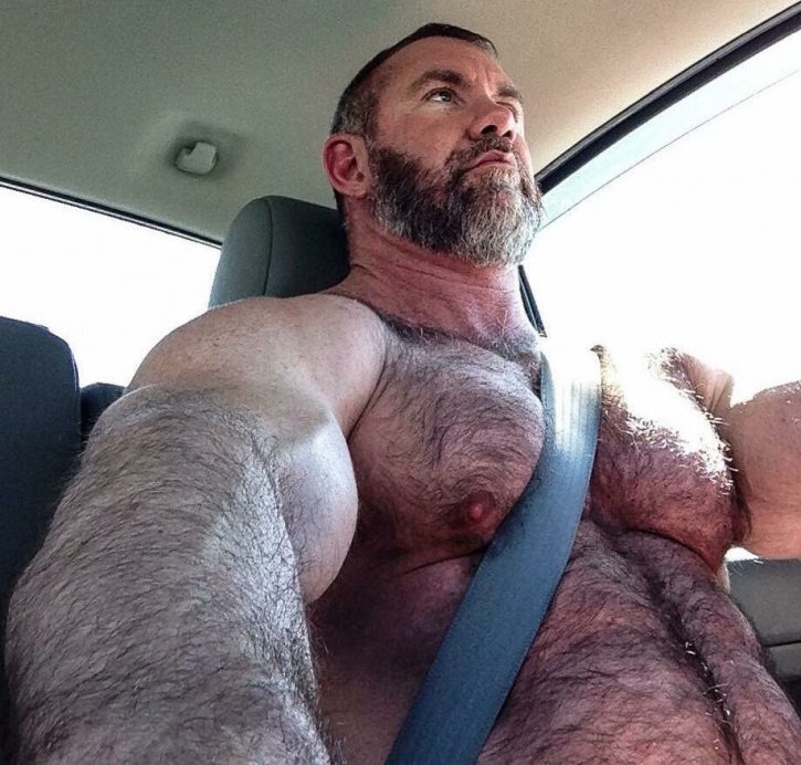 Big hairy bear gay