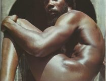 tumblr_nyy1wiaJg91qicuhxo1_540
