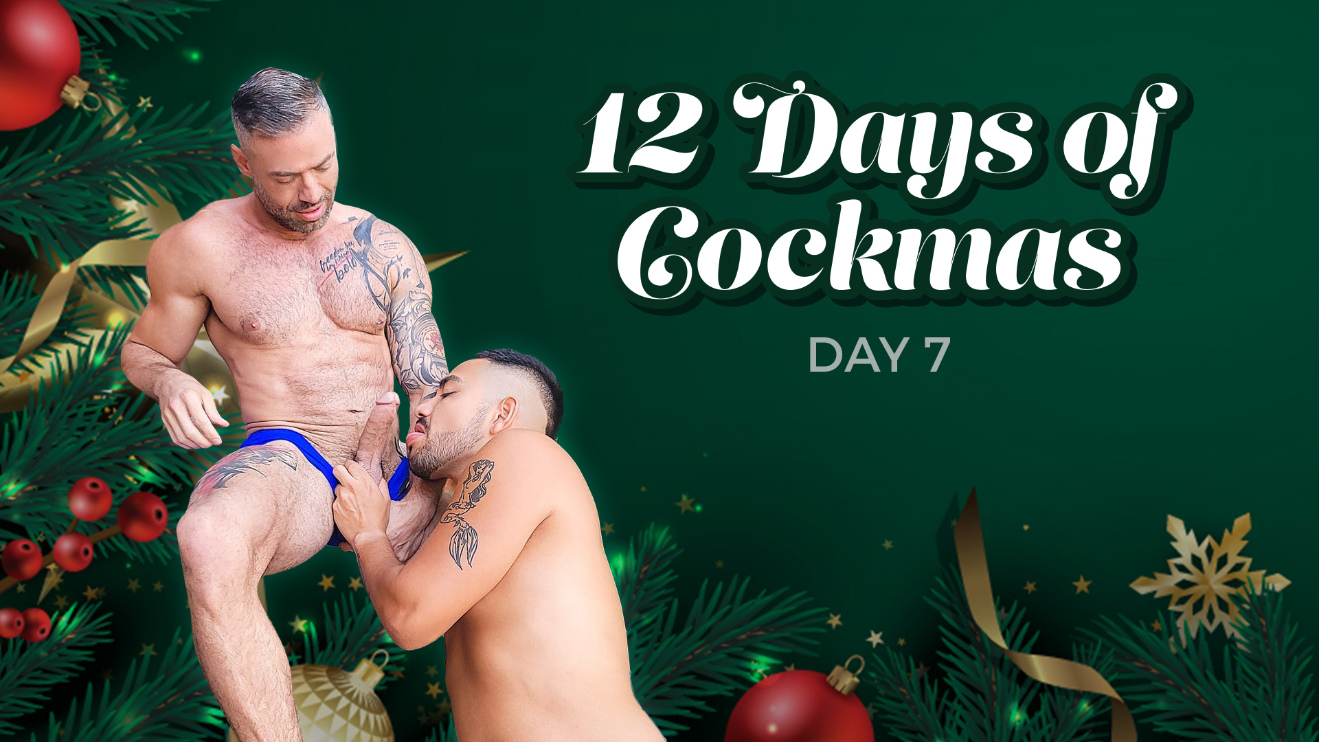 It’s the Seventh Day of Cockmas! Enter Now for a Chance to Win!