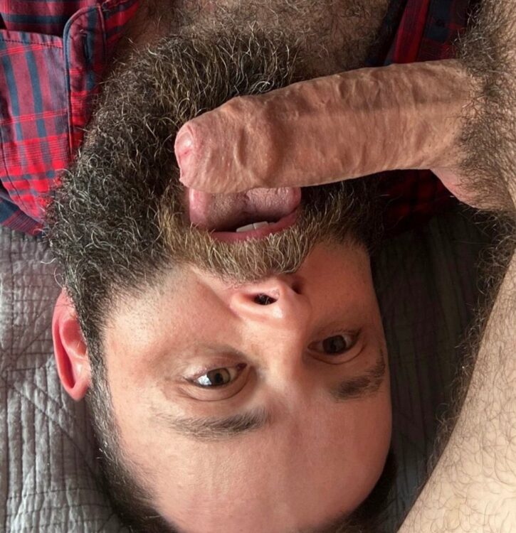 hairy bear licking hard fat cock on bed