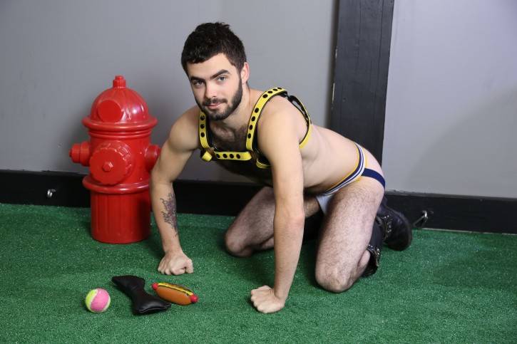 What You Need to Know About Getting Into Pet Play Gear