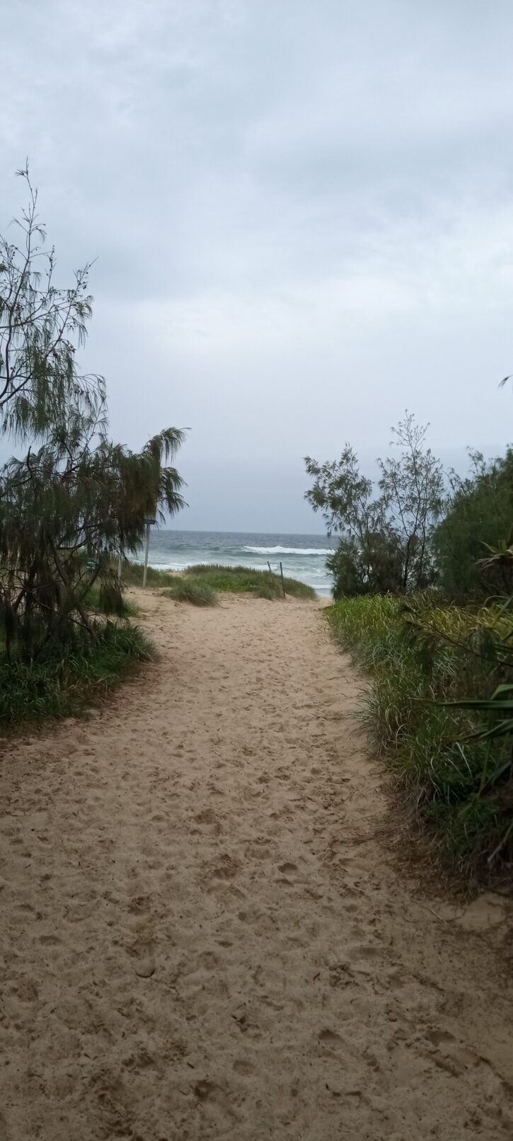 view of the ocean in noosa on the sunshien coast australia