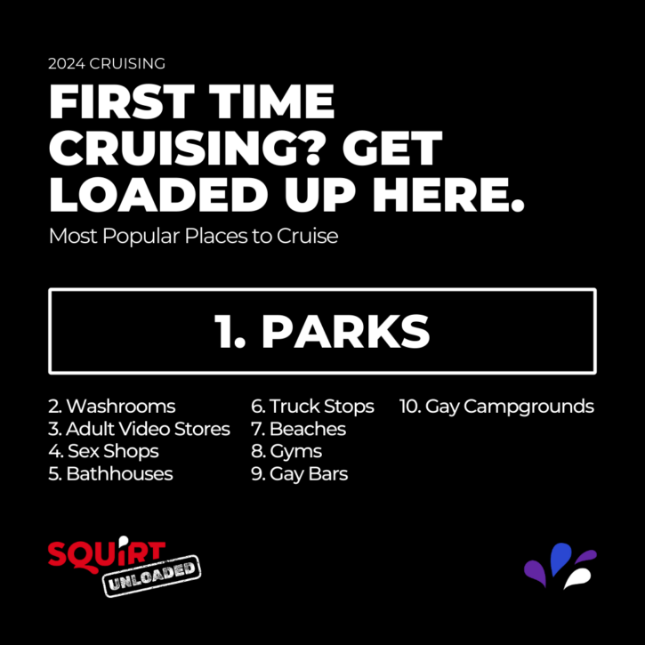 favorite gay hookup spot and gay cruising location for gay males according to squirt unloaded 2024 survey data ranks gay crusiing parks as number one, followed by gay cruising washrooms, adult video stores, gay sex shops, video arcades, gay bathhouses, truck stops, gay beaches and nude beaches, gay cruising at the gym, gay bars, and gay campgrounds