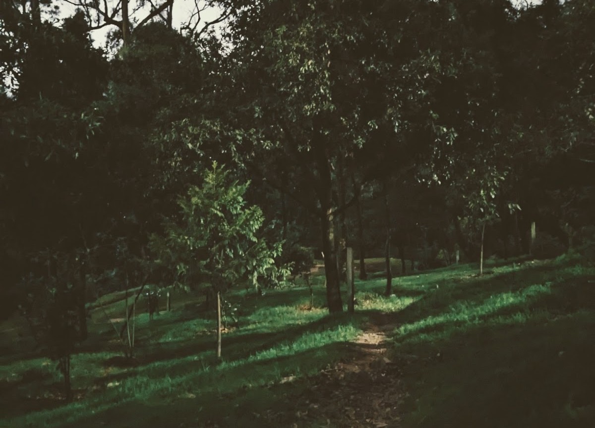 gay cruising hotspot and gay sex cruising spot Parque Nacional Bogota Colombia where gay and bi males have anonymous gay sex